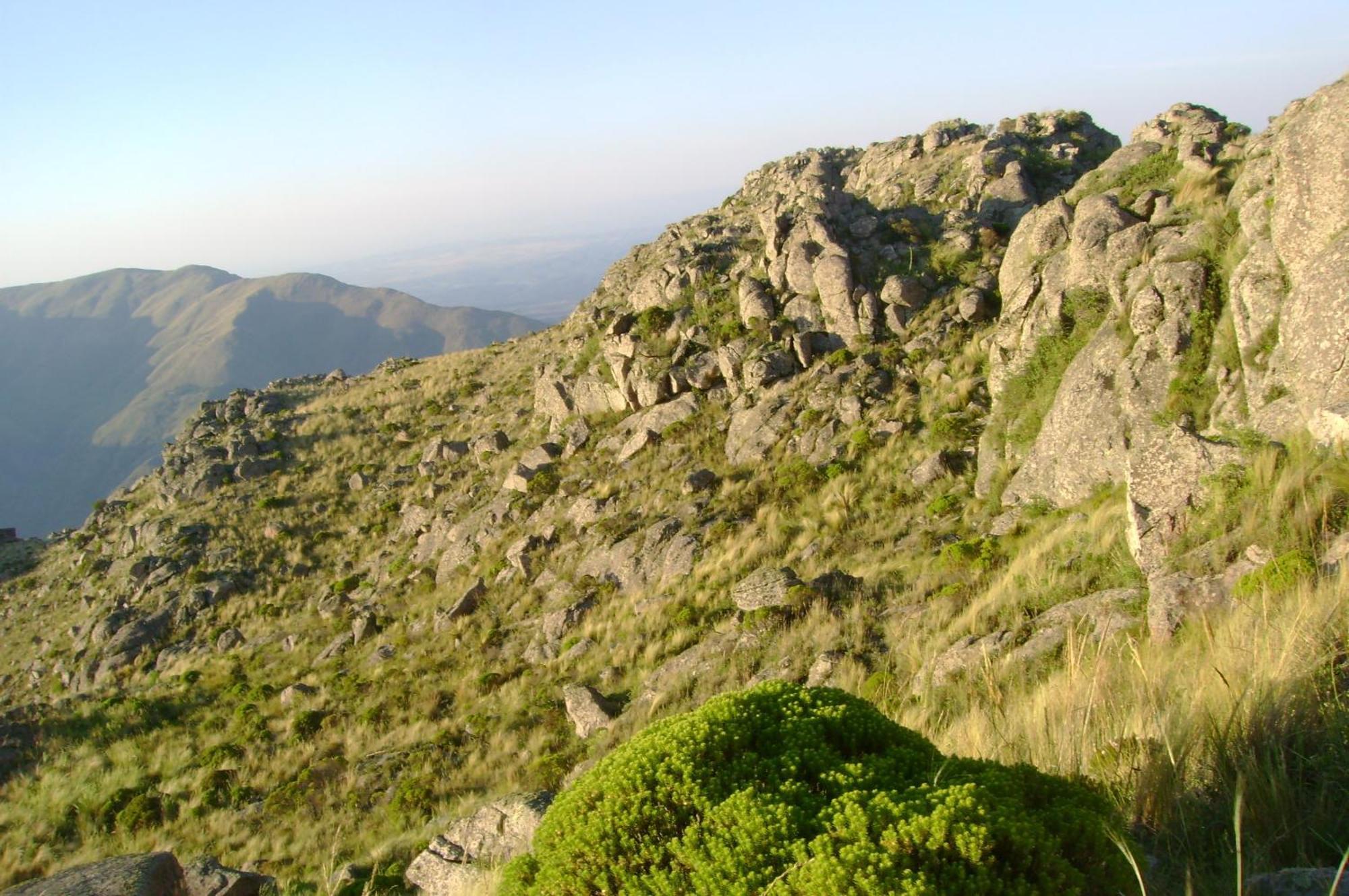 Zure-echea Inn