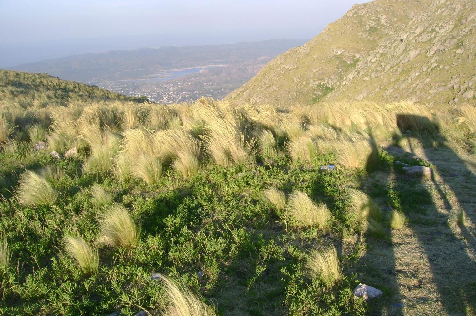 Zure-echea Valle Hermoso